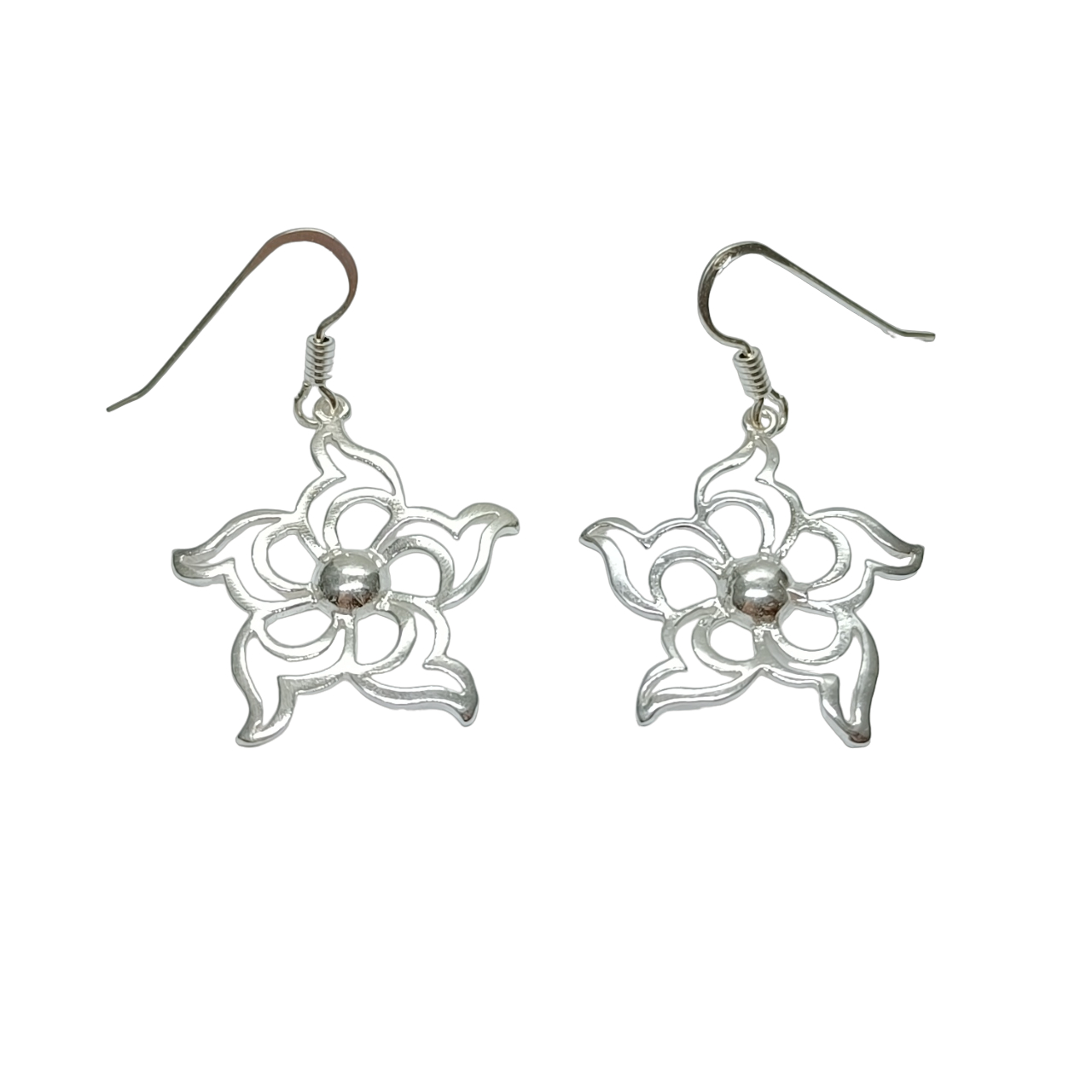 Silver earrings - E000160