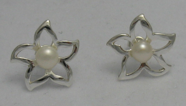 Silver earrings - E000172