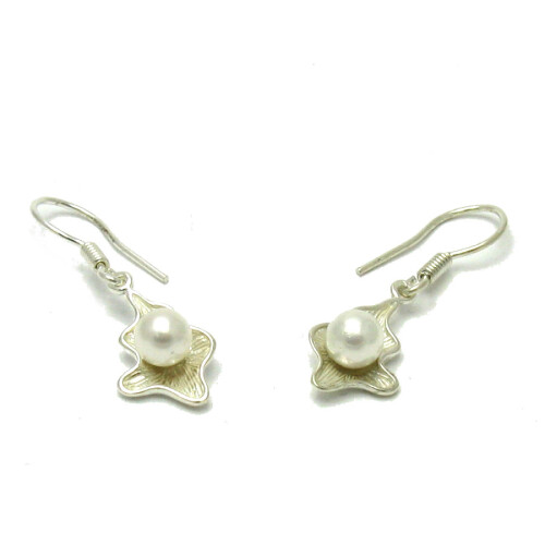 Silver earrings - E000499