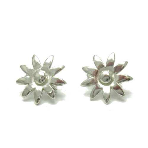 Silver earrings - E000516