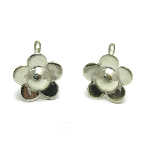 Silver earrings - E000526