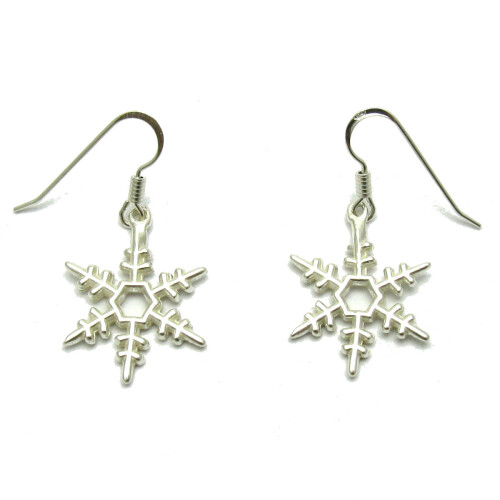 Silver earrings - E000607