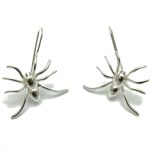 Silver earrings - E000689