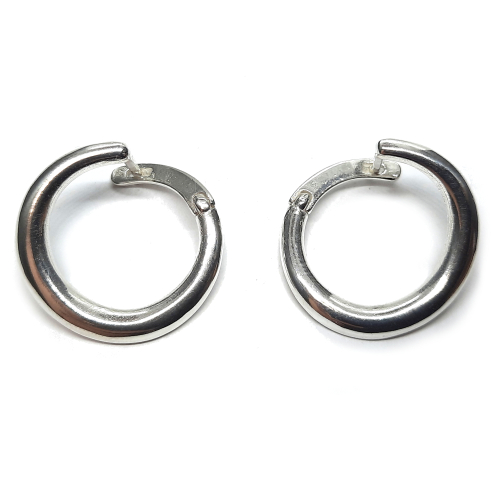 Silver earrings - E000839