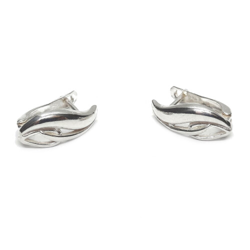 Silver earrings - E000861