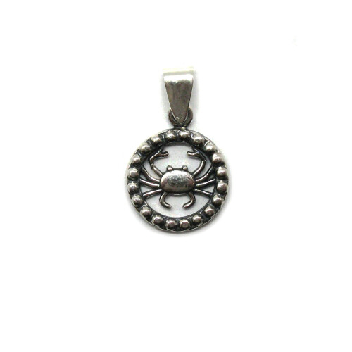 Silver pendant - PE001345