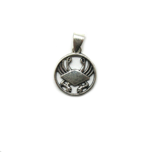 Silver pendant - PE001388