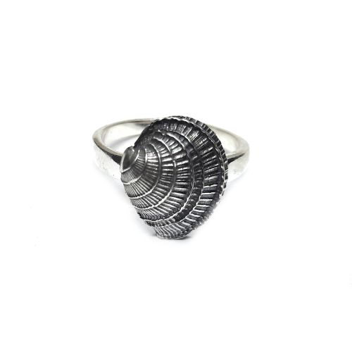 Сребърен пръстен - R002460